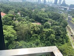 Normanton Park (D5), Apartment #582934271